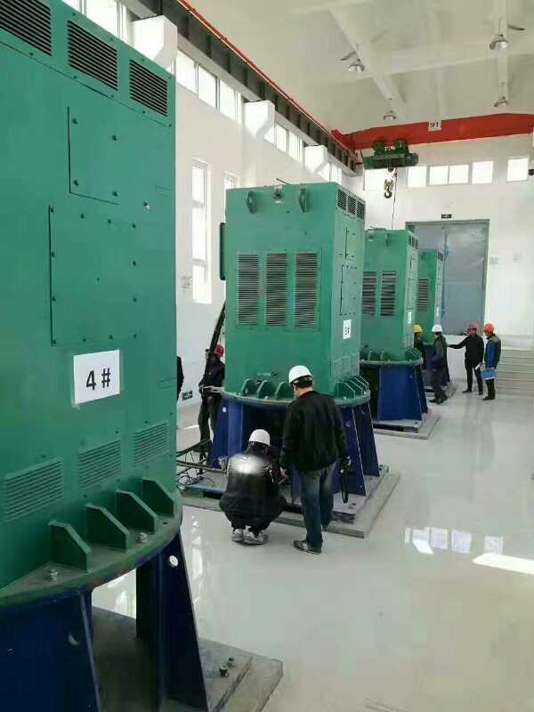 巴宜某污水处理厂使用我厂的立式高压电机安装现场安装尺寸