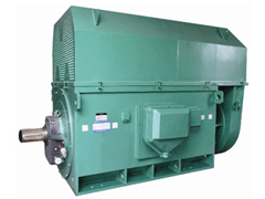 巴宜Y系列6KV高压电机